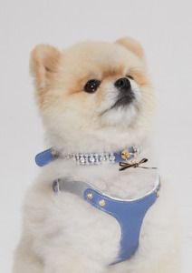 Colliers en cristal pour chats et chiens (13 à 19), colliers de luxe pour chats, colliers et laisses pour chiens, produit unique pour animaux de compagnie, colliers pour chats - Product Image 1