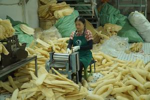 ฟองน้ำใยบวบธรรมชาติอเนกประสงค์สำหรับอาบน้ำสัตว์เลี้ยงในห้องครัวห้องน้ำ - Product Image 3