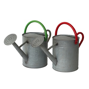 Arrosoir essentiel pour jardin arrosoir pour plantes galvanisé avec double poignée argentée moderne - Product Image 1