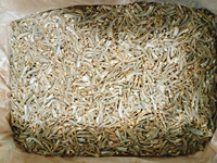 Stock Prêt 2026 – Anchois Séchés Premium du Vietnam de la Marque Blue Lotus Farm pour la Transformation Alimentaire et la Préparation de Soupes – Fruits de Mer en Vrac de Haute Qualité