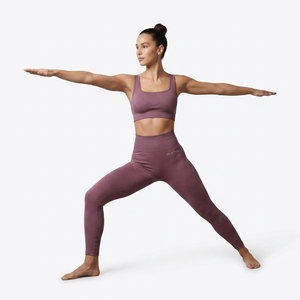 <b>Women</b> Mauve Ribbed Sports Bra and High Waist <b>Leggings</b> Two Piece <b>Seamless</b> Yoga Activewear Set - Product Image 4