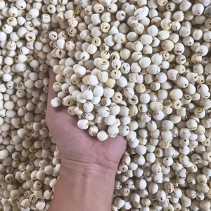 เมล็ดบัวอบแห้งธรรมชาติ บรรจุภัณฑ์แบบขายส่ง ผู้ส่งออกเวียดนาม บริษัทเวียดเดลต้า - Product Image 6