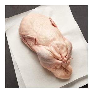 High Standard Halal Frozen Duck Export Ready Duck <b>Meat</b> for Retail and Food Service Industry - Product Image 1
