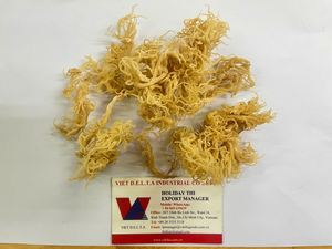 Mousse de mer blanche sans arêtes de haute qualité, Eucheuma Cottonii séchée au soleil, jaune doré, épaississant en vrac pour l'alimentation - Product Image 5