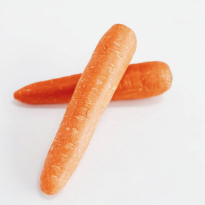 Cheap Wholesale Top Quality <b>Fresh</b> <b>Vegetables</b> Carrots In Bulk Premium Quality <b>Fresh</b> Carrots/Organic Carrots - Product Image 5