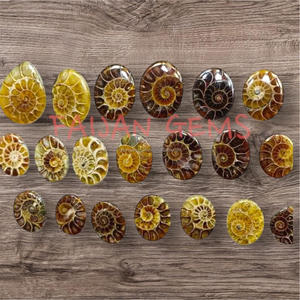 Cabochons d'ammonites naturelles, cristaux polis uniques, pierres précieuses en vrac, sans traitements, certifiées par un tiers, toutes formes et tailles pour - Product Image 4