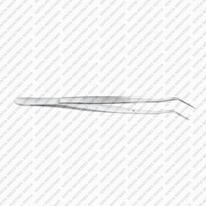 Pince à pansement dentaire professionnelle Meriam 16 cm, pince à coton chirurgicale, instrument chirurgical en acier inoxydable, certifié CE OEM - Product Image 3