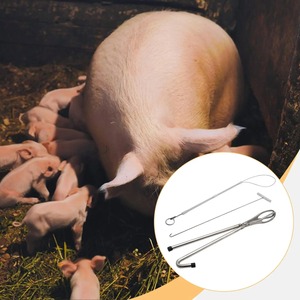 Farm Animal Veterinary Midwifery Tools Kit Pig Rope <b>Hook</b> Plier Stainless Steel Equipment for Delivery - Product Image 6