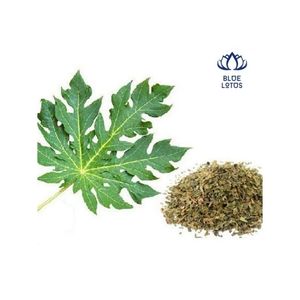 ใบมะละกอแห้งยอดนิยมของลูกค้า คุณภาพพรีเมียม สะอาด ปลอดภัย เหมาะสำหรับทำชาและสมุนไพร ช่วยเพิ่มรสชาติ - Product Image 1