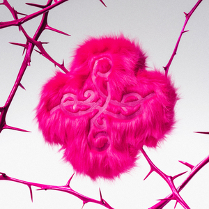 TXT A MOMENT OF STILLNESS IN THE THORNS (CUSHION OF THORNS) Album KPOP le plus vendu en Corée - Product Image 4