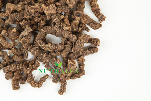 Racines de Valériane Officinalis Séchées Racines de Valériane Vente en Gros Qualité Premium - Product Image 4