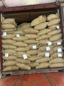 เมล็ดกาแฟเขียวเวียดนามพรีเมียม อาราบิก้า G1 ออร์แกนิค รับรองมาตรฐาน IIGLOBAL FARM GB26 รุ่น 12% - Product Image 6