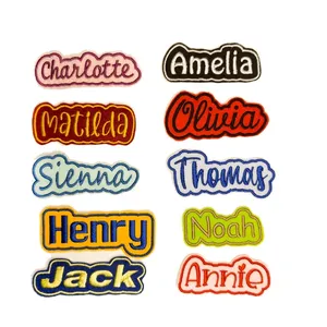 Custom Embroidered <b>Iron</b>-<b>On</b> <b>Name</b> Patches for Cloth Use in Various Colors and Styles - Product Image 1