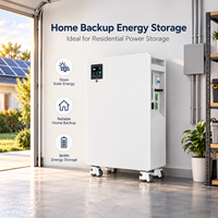 Générateur solaire LiFePO4 8 kWh avec onduleur à onde sinusoïdale pure, contrôleur MPPT, sortie continue 4000 W, station d'alimentation portable 11000+