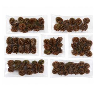 AQUA VRIKSHA Cápsulas de Casuarina Naturales para Acuarios, Peceras de Betta, Peceras de Camarones y Acuapaisajismo |   Paquete de 10 - Product Image 3
