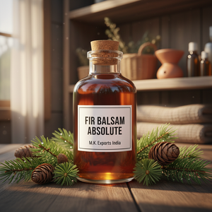 Balsamo de Abeto Premium para Perfumería Fina, Fragancias de Lujo y Aplicaciones de Aroma Natural - Product Image 2