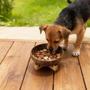 Tazón de Coco Pulido Hecho a Mano para Mascotas, Tazón de Alimentación sin Plástico para Perros Pequeños, Venta al por Mayor desde Vietnam - Product Image 3