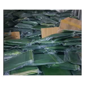 Hojas de Plátano Naturales Congeladas para Empaque de Alimentos Cero Desperdicio, Servicio de Alimentos Orgánicos e Industria de Catering Comercial a Nivel Mundial - Product Image 3