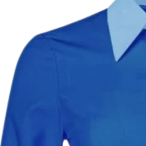 Chemise Oxford bleue boutonnée pour femme, manches longues, col classique, tenue décontractée de bureau, chemise élégante de style preppy, vêtement quotidien - Product Image 3