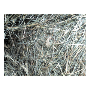 Foin d'herbe de Rhodes à bas prix, qualité export en vrac - Product Image 6