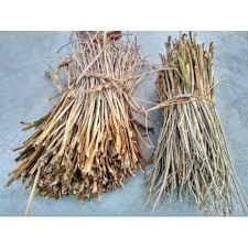 Proveedor de Vietnam, Venta al por Mayor de Material de Jacinto de Agua Seco al Sol, Fibra Cruda a Granel para Exportación - Product Image 5
