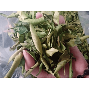 ใบมะนาวอบแห้งวัสดุใบมะนาวสำหรับปรุงรสแกงกะหรี่ซุปต้นกำเนิดจากเวียดนาม - Product Image 1