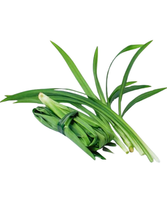 LAS HOJAS DE PANDAN NATURALES PROPORCIONAN UN SABOR DE ALTA CALIDAD A LOS POSTRES Y BEBIDAS A PRECIOS COMPETITIVOS PARA EXPORTACIÓN EN 2026. - Product Image 4