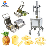 Kleine schaal ananasverwerkingslijn: machine voor het snijden, schillen, ontpitten en snijden van ananas voor de fruitindustrie