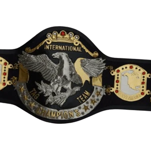 Ceinture de championnat de lutte en équipe internationale personnalisée, trophée sportif de haute qualité pour collectionneurs - Product Image 5