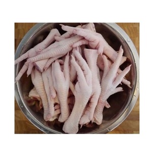 Patas de Pollo Congeladas Halal de Primera Calidad |   Patas de pollo congeladas al por mayor a precio económico - Product Image 1