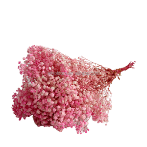 Flor decorativa de Gypsophila de larga duración para bebés, flores de Gypsophila <span class=keywords><strong>eterna</strong></span> preservada, respiración al por mayor - Product Image 5
