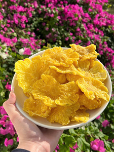 Anneaux d'ananas déshydratés, collation naturelle et saine, en vrac, fournisseur vietnamien, nouvelle récolte 2026 - Product Image 2