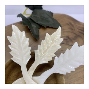Cuchara de Concha Marina Hecha a Mano, Ligera, de Perla, Ecológica y Duradera, para Postre, Café, Té y Servir - Product Image 5