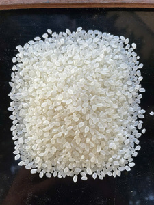 Riz Shiratake Japonais en Gros OEM, Konjac Séché, Aliment Diététique Miracle Faible en Calories, Riche en Fibres Alimentaires, Sans Sucre, Emballage en Vrac, Dur - Product Image 1