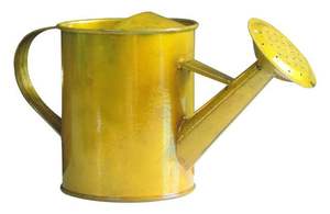 Petite arrosoir en métal, idéale pour les plantes d'intérieur, le jardin de bureau, versement facile, bec long, design compact et léger. - Product Image 2