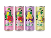 Soda à la framboise prébiotique innovant 250ml Boisson pétillante fonctionnelle OEM Vietnam Factory