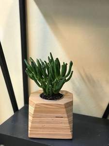 Jardinera de Madera Ecológica para Hierbas, Marca Privada, para Cocina, Balcón, Espacios Pequeños - Product Image 3