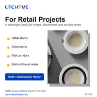 LiteHome Stellar SMD LED Downlight 12W-45W Spot encastré au plafond 2700K IP44 Aluminium Angle de faisceau 60° pour magasin de détail