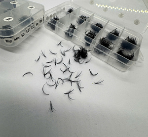 Extensions de cils individuels préfabriqués à base pointue, effet wispy, volume fait main, noir naturel DD pour faux vison, marque privée - Product Image 5