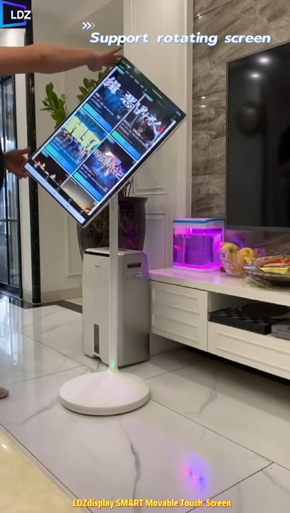 Smart Touch Screen Wireless Display - Ldzdisplay LCD Monitors