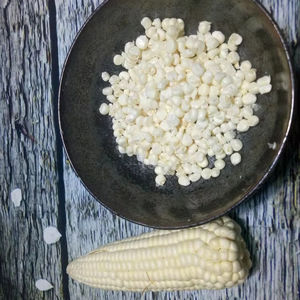 เมล็ดข้าวโพดแว็กซ์ออร์แกนิกคุณภาพสูง ราคาดีที่สุด ตัวเลือกที่ยอดเยี่ยม สำหรับการทำอาหารเพื่อสุขภาพ ธัญพืช อุตสาหกรรมขนมขบเคี้ยว และการส่งออกจำนวนมาก - Product Image 1