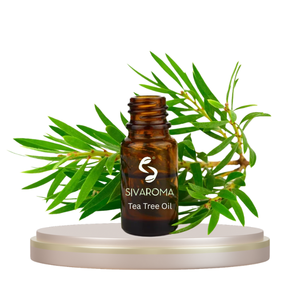 Aceite Esencial Puro de Árbol de Té en Paquete a Granel, Aceite Destilado al Vapor de Primera Calidad, Certificado ISO/GMP, 3 Años de Duración, para Todo Tipo de Piel - Product Image 1