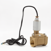 Vanne solénoïde en cuivre DSF-40 1-3/4" haute précision pour le contrôle du carburant, pièce de rechange pour distributeur de carburant