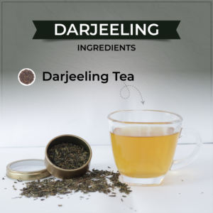 Té Negro Tvoy Darjeeling First Flush, 20 Bolsitas de Té (1.8g), Mezcla Fresca y Terrosa con Aroma Cautivador - Product Image 3