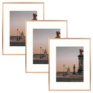 Matching Three Piece Matted Champagne <b>Gold</b> <b>Frame</b> Set For Wall Art Elegant Thin Brass Matted <b>Picture</b> <b>Frames</b> - Product Image 1