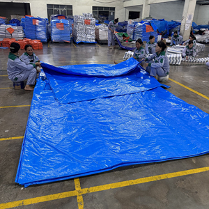 Lona de Polietileno Azul, Resistente, de Alta Durabilidad, Gran Capacidad, Impermeable, Opciones de Tamaño y Color para Uso Industrial - Product Image 3