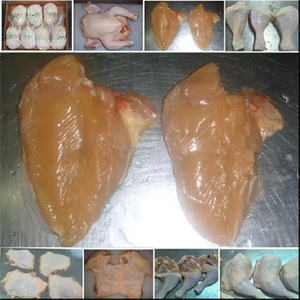 Pechuga de Pollo Halal Congelada, Sin Piel, Procesada Higiénicamente, Carne de Aves Premium con Alto Contenido de Proteínas - Product Image 3