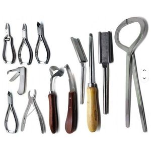 ชุดเครื่องมือตรวจวัดกีบม้าสำหรับสัตวแพทย์ 10 ชิ้น ทำจากสแตนเลสสตีล แบบใช้มือ ระดับ Class I สำหรับงานทั่วไป - Product Image 3