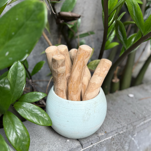 Bâton à mâcher pour chien en bois de café, robuste, naturel, durable, biologique, jouet classique pour chien, pour mâcheurs agressifs, chiens de grande race - Product Image 1