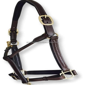 Halter de cheval en cuir de qualité supérieure noir et marron havane robuste avec rembourrage et coutures fantaisie raccords de variante en nickel ou en laiton - Product Image 2